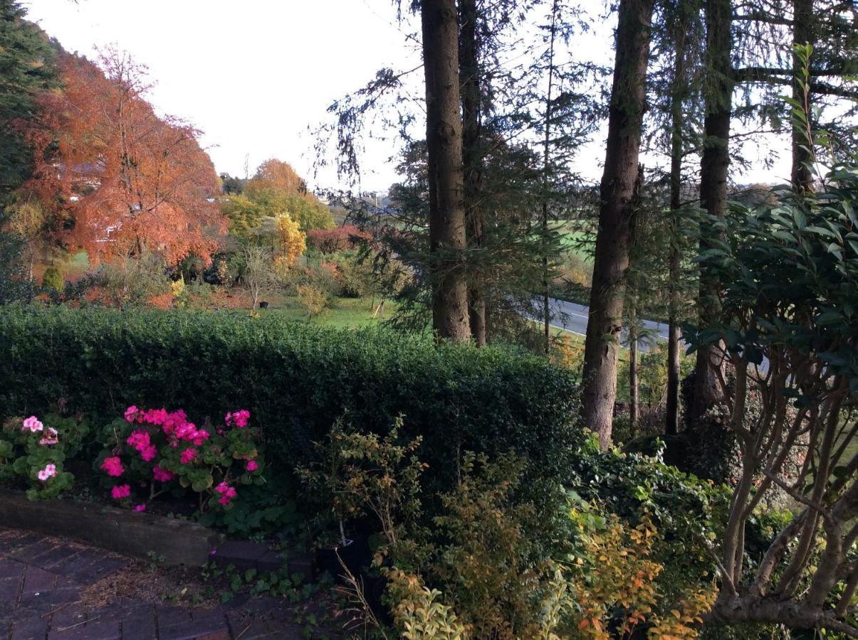 Tan Y Graig Bed and Breakfast Meifod Buitenkant foto